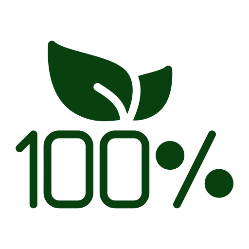 Icone 100% avec deux feuilles