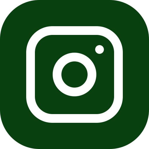 Icone instagram