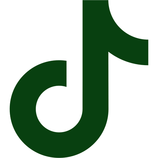 Icone TikTok